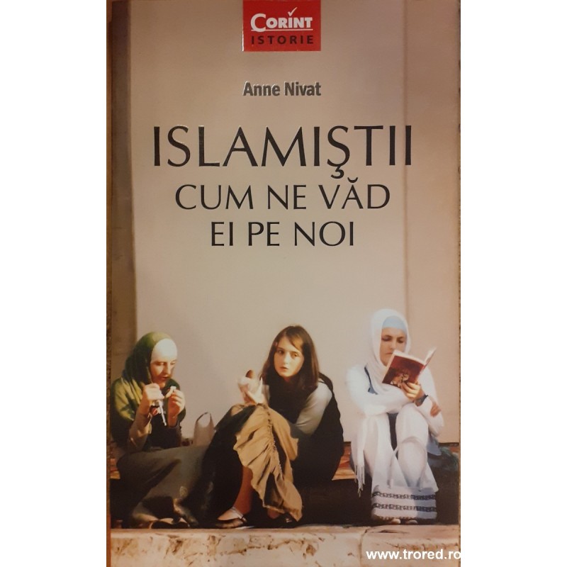 Islamistii. Cum ne vad ei pe noi