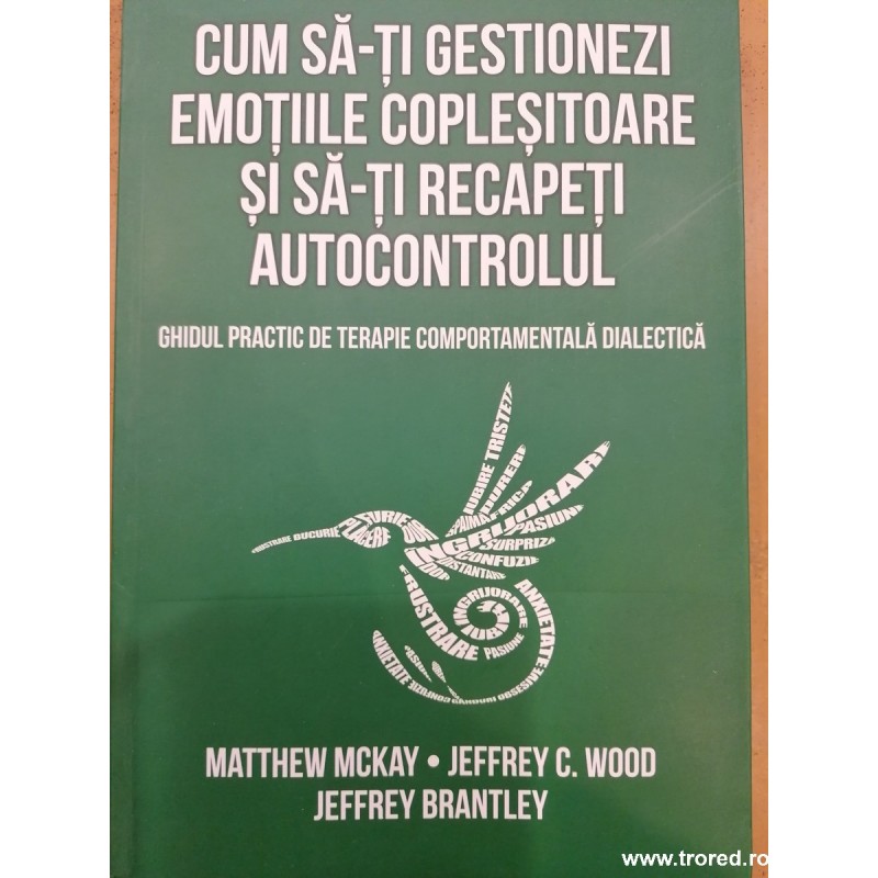Cum sa-ti gestionezi emotiile coplesitoare si sa-ti recapeti autocontrolul