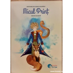 Micul Print