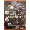 Rodica Anca Marinescu