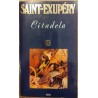 Citadela Saint Exupery