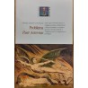 Problema Puer Aeternus