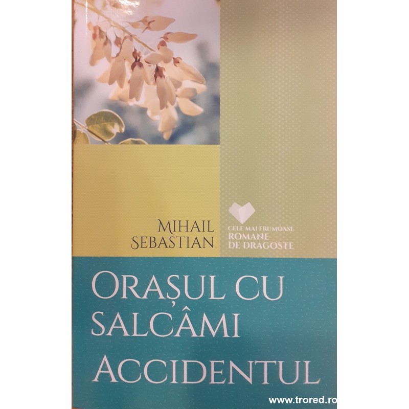 Orasul cu salcami. Accidentul
