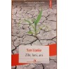 Zile, luni, ani