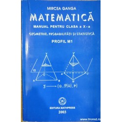 Matematica Manual pentru...