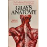 Gray's anatomy