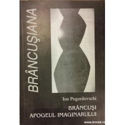 Brancusi apogeul imaginarului