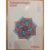 Psihosociologia crizei