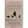 Geneza. Originea profunda a societatii