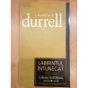 Labirintul intunecat / Colectiile Cotidianul 18