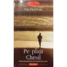 Pe plaja Chesil