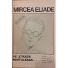 Pe strada Mintuleasa...