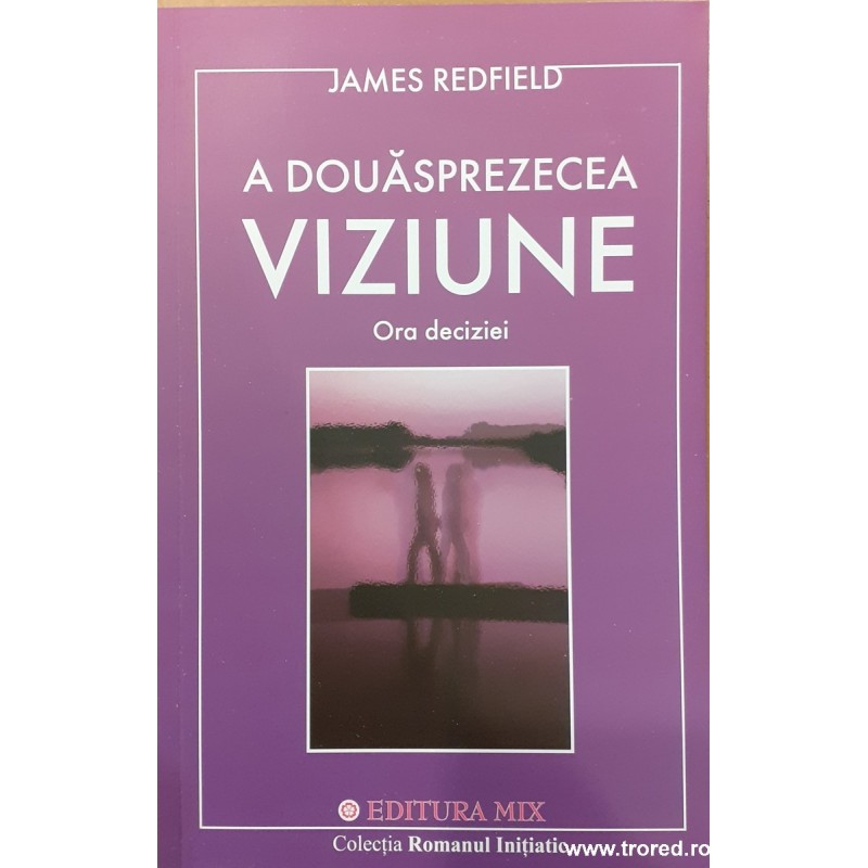 A douasprezecea viziune. Ora deciziei