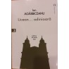 Licean... odinioara