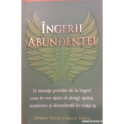 Ingerii abundentei