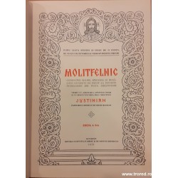 Molitfelnic