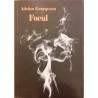 Focul