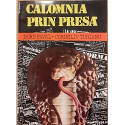 Calomnia prin presa