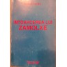 Intoarcerea lui Zamolxe