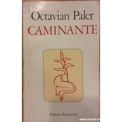 Caminante Octavian Paler