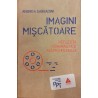Imagini miscatoare. Reflectii psihanalitice asupra filmului