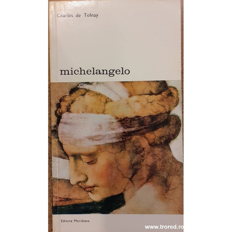 Michelangelo Biblioteca de arta 84