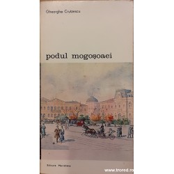 Podul Mogosoaei povestea unei strazi