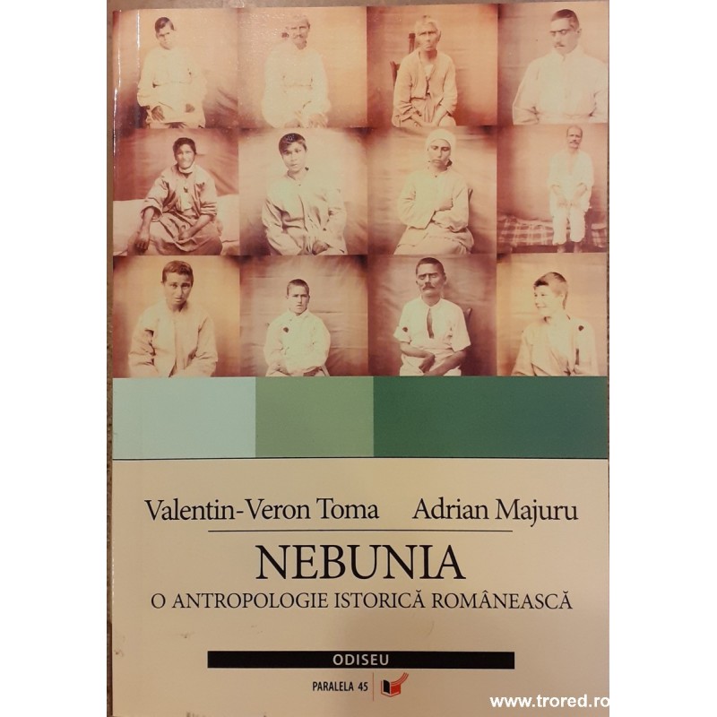 Nebunia O antropologie istorica romaneasca