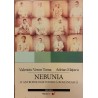 Nebunia O antropologie istorica romaneasca