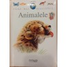 Animalele / Prima mea enciclopedie