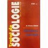 Tratat de sociologie Abordarea teoretica