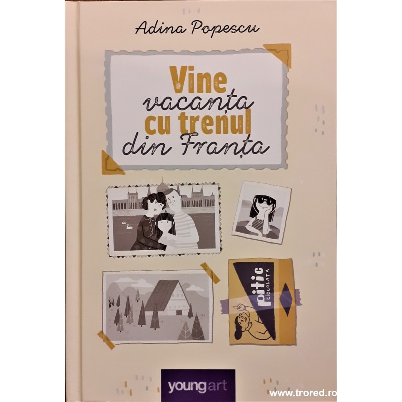 Vine vacanta cu trenul din Franta