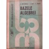 Bazele algebrei vol.1