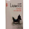 Lampa cu caciula