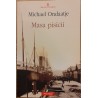 Masa pisicii