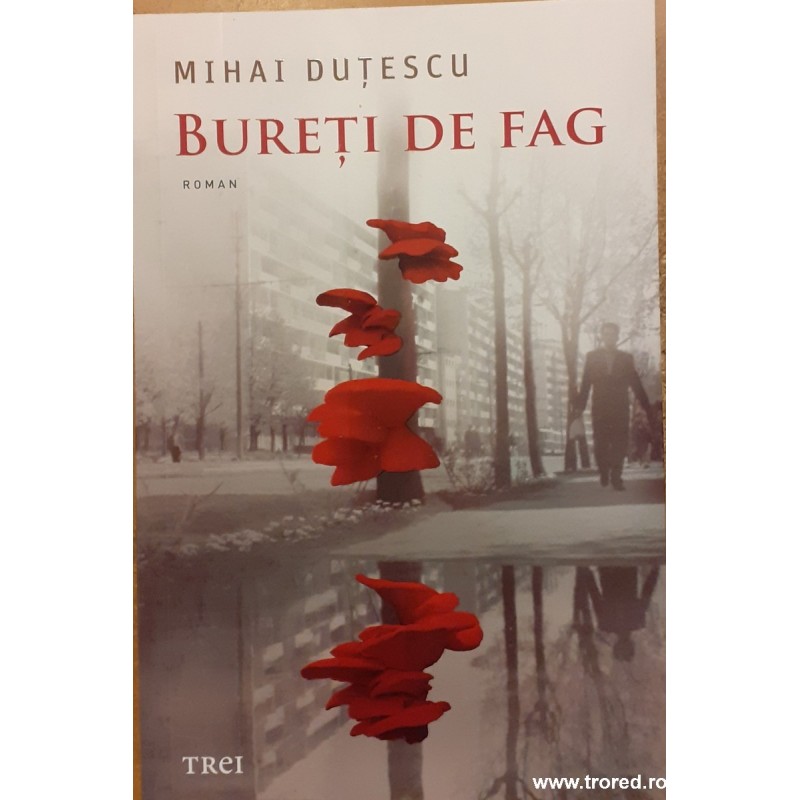 Bureti de fag