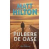 Pulbere de oase. Seria Joe Hunter