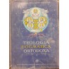 Teologia dogmatica ortodoxa volumul 3