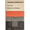 Soldatul cainelui