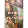 Cibola in flacari volumul 4 Seria The Expanse