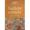 Suflete cusute Un ghid despre sens, speranta si vindecare