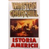 Istoria Americii