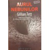 Aurul nebunilor