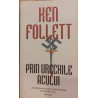Prin urechile acului
