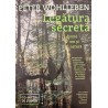 Legatura secreta dintre om si natura