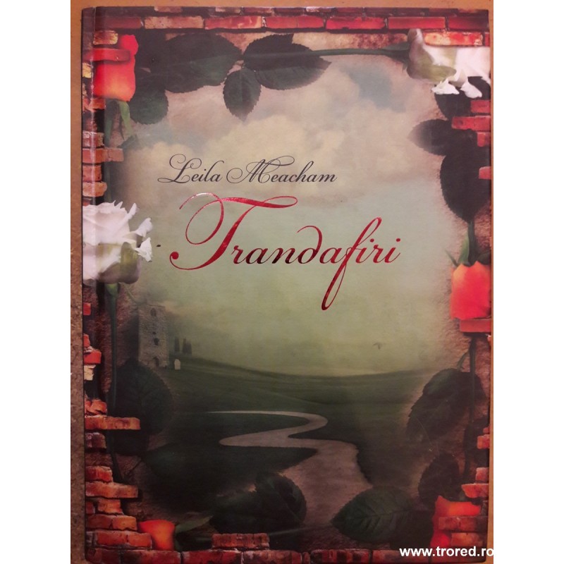 Trandafiri Trandafiri