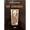 Ion Antonescu intre extrema dreapta si extrema stanga
