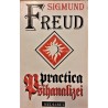 Practica psihanalizei