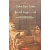 Jocul ingerului