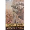 Viata ca o prada